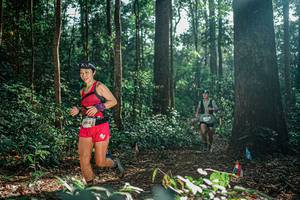 BIB: 
                            <button type="button" onclick="openModal(26071966)" class="btn btn-primary btn-sm float-right btn-popup" data-toggle="modal" data-target=".modal-high-quality">
                        <i class="fas fa-shopping-cart"></i> Add to Cart
                    </button>
                                            <button type="button" onclick="isThisMe(26071966, true)" class="btn btn-success btn-sm float-right btn-popup btn-isme hidden" data-toggle="tooltip" data-placement="bottom" title="นี่คือรูปของคุณใช่ไหม คลิกที่นี่เพื่อเอาเข้าอัลบั้ม">
                        <i class="fas fa-plus"></i> Add to album
                    </button>
                    <button type="button" onclick="isThisMe(26071966, false)" class="btn btn-warning btn-sm float-right btn-popup btn-isnotme hidden">
                        <i class="fas fa-ban"></i> Remove from album
                    </button>